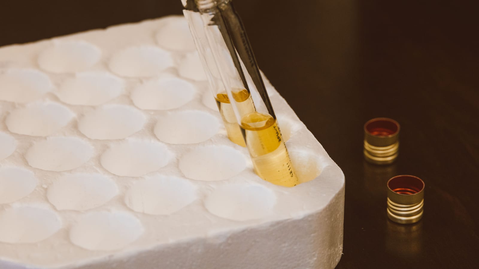 Recovery and repair after peptide injection